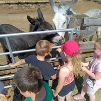 IMG_20240618_102141.jpg