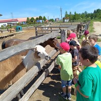 IMG_20240618_102317.jpg