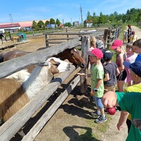 IMG_20240618_102319.jpg