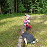 IMG_20240607_093336.jpg