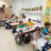 IMG_20231025_101005.jpg