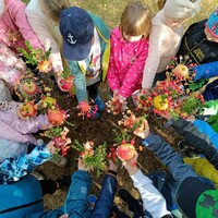 IMG_20231005_104147.jpg