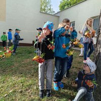 IMG_20231005_105540.jpg
