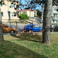IMG_20231005_110221.jpg