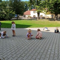 IMG_20230915_103542.jpg