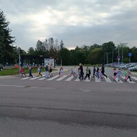 IMG_20240919_083143.jpg