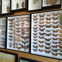 IMG_20250620_093240.jpg
