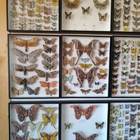 IMG_20250620_093254.jpg