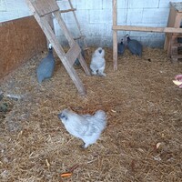 IMG_20250620_100024.jpg