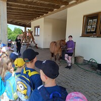 IMG_20250620_100943.jpg