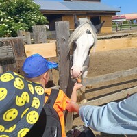 IMG_20250620_102644.jpg