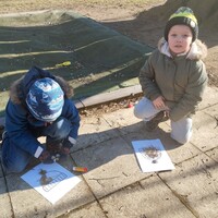 IMG_20250204_132138.jpg