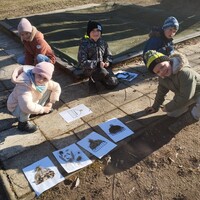 IMG_20250204_133353.jpg