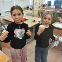 IMG_20250227_143335.jpg