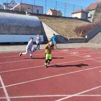 IMG_20250305_133628.jpg