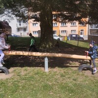 IMG_20250414_133339.jpg