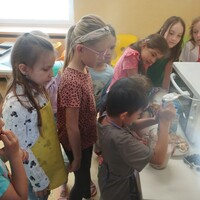 IMG_20250520_131026.jpg