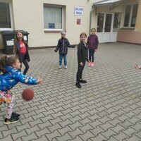 IMG_20250529_131903.jpg