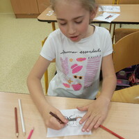 IMG_20250522_131456.jpg