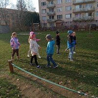 IMG_20241108_134343.jpg