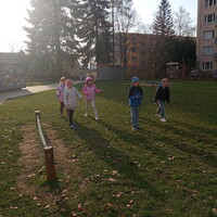 IMG_20241108_134353.jpg