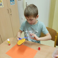 IMG_20241115_124209.jpg