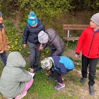 IMG_5168.JPG