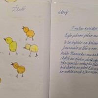 c6bbd2bf-0b97-478e-97c5-afab7ff34f98.jpg