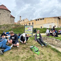 IMG_7946.jpeg