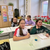 IMG_6705.jpeg