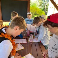 IMG_1801.JPEG