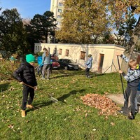 IMG_4284.JPG