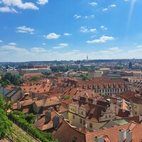 20250512_113347.jpg