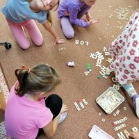 IMG_20241101_092534.jpg