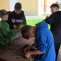 IMG_0758.JPG