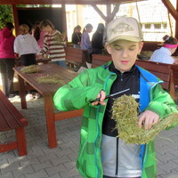 IMG_0774.JPG