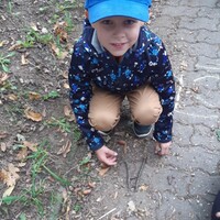7a0bdf04-278b-4af8-9c64-5db10b6bb266.jpeg