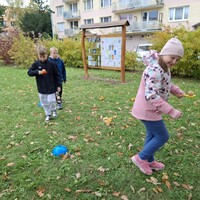 cc4deded-9cb9-4ed7-8559-a0aec784d33e.jpg