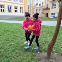 f07f65fb-5a3e-4ac9-9354-a4e8c71ea948.jpg