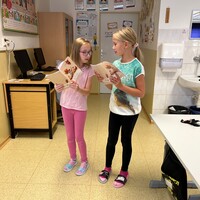 IMG_9509.jpeg