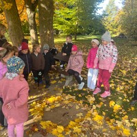 IMG_6282.JPG
