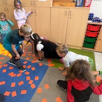 IMG_5955.JPG