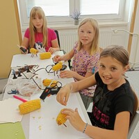 IMG_20251003_094308.jpg