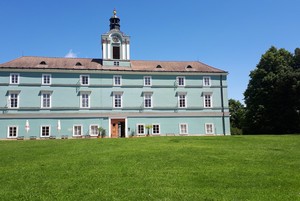 20190604_121514.jpg