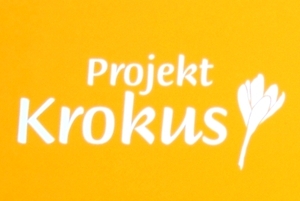 krokus.jpg