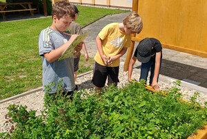 IMG_20240619_120637.jpg