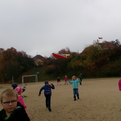 IMG_20171020_132313.jpg