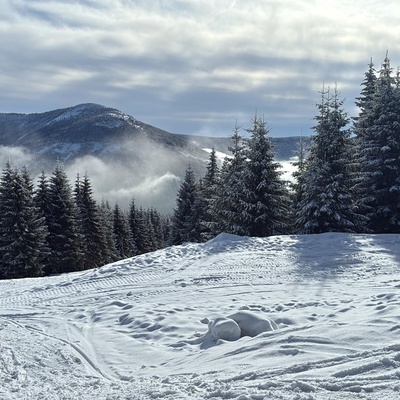 Obrázek - 53c49293-10fc-4d15-b8af-237d118c38b4