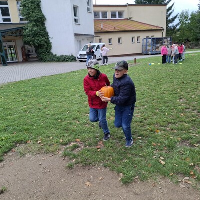 ad9b2309-471c-4ffe-b5a4-759b16c9a4d9 ad9b2309-471c-4ffe-b5a4-759b16c9a4d9.jpg