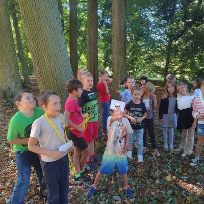 5d5de95a-b8f3-433c-9622-2d067c866b9c 5d5de95a-b8f3-433c-9622-2d067c866b9c.jpg